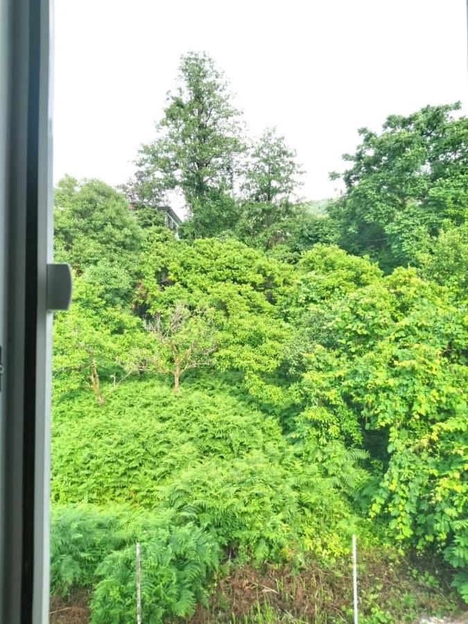 Отели типа «постель и завтрак» ДОМ УЮТНЫЙ В БАТУМИ ГОНИО Батуми-13