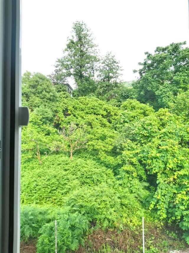 Отели типа «постель и завтрак» ДОМ УЮТНЫЙ В БАТУМИ ГОНИО Батуми-12